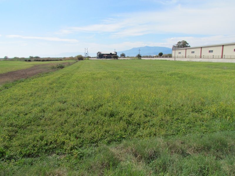 Αγροτεμάχια 10.750 τ.μ. προς πώληση, Νέα Κίος