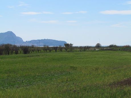 Αγροτεμάχια 10.750τ.μ. για πώληση-Νέα κίος