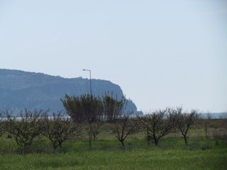Αγροτεμάχια 10.750 τ.μ. για πώληση, Αργολίδα, Νέα Κίος-thumb-3