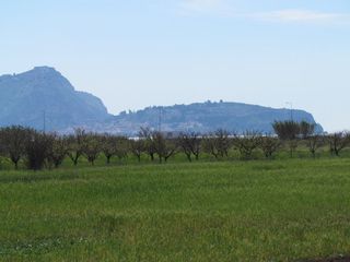 Αγροτεμάχια 10.750 τ.μ. για πώληση, Αργολίδα, Νέα Κίος-thumb-15