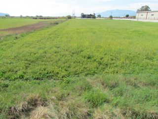 Αγροτεμάχια 10.750 τ.μ. για πώληση, Αργολίδα, Νέα Κίος-thumb-10