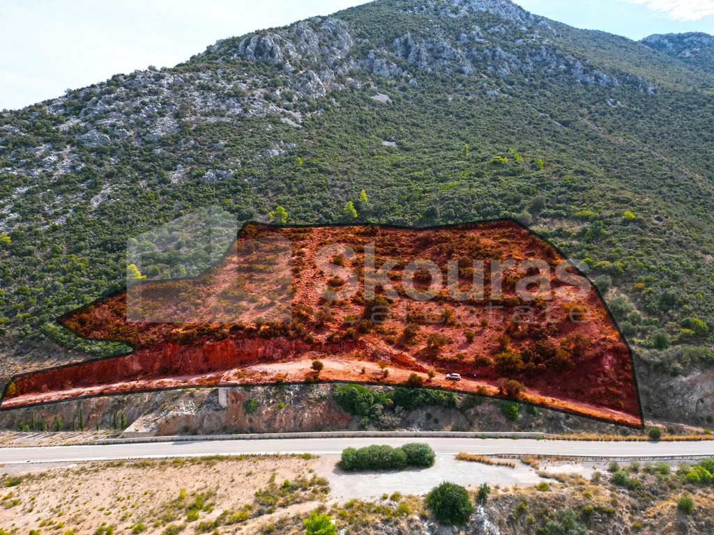 Αγροτεμάχια 17.669 τ.μ. προς πώληση, Αρχαία Επίδαυρος