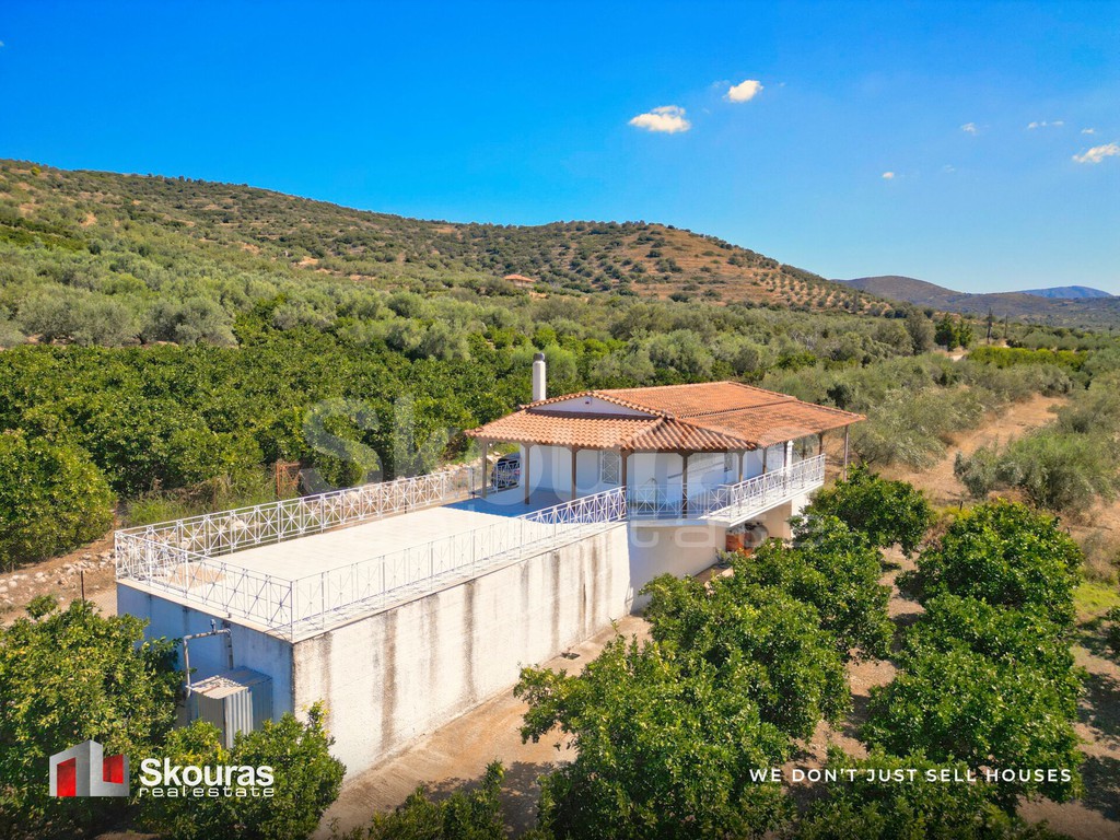 Αγροτεμάχια 20.000 τ.μ. προς πώληση, Νέο Ροεινό
