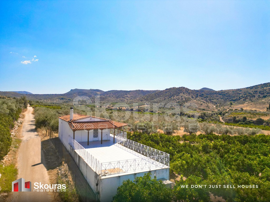Αγροτεμάχια 20.000 τ.μ. προς πώληση, Νέο Ροεινό