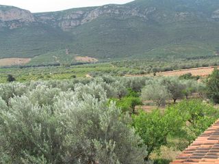 Αγροτεμάχια 16.400 τ.μ. για πώληση, Αργολίδα, Λέρνα-thumb-10