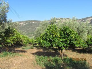 Αγροτεμάχια 16.400 τ.μ. για πώληση, Αργολίδα, Λέρνα-thumb-16