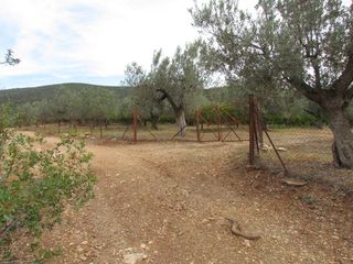 Αγροτεμάχια 16.400 τ.μ. για πώληση, Αργολίδα, Λέρνα-thumb-14