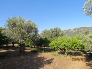 Αγροτεμάχια 16.400 τ.μ. για πώληση, Αργολίδα, Λέρνα-thumb-2