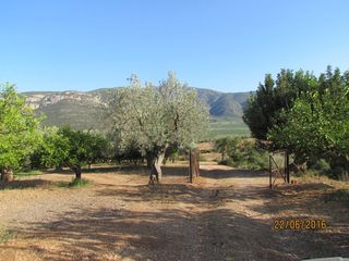 Αγροτεμάχια 16.400 τ.μ. για πώληση, Αργολίδα, Λέρνα-thumb-23