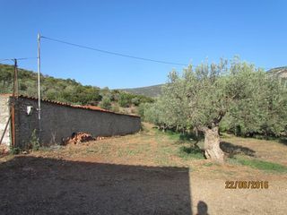 Αγροτεμάχια 16.400 τ.μ. για πώληση, Αργολίδα, Λέρνα-thumb-20