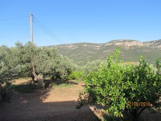 Αγροτεμάχια 16.400 τ.μ. για πώληση, Αργολίδα, Λέρνα-thumb-22