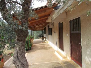 Αγροτεμάχια 16.400 τ.μ. για πώληση, Αργολίδα, Λέρνα-thumb-4