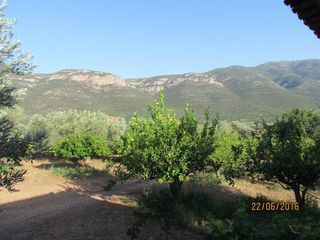 Αγροτεμάχια 16.400 τ.μ. για πώληση, Αργολίδα, Λέρνα-thumb-21