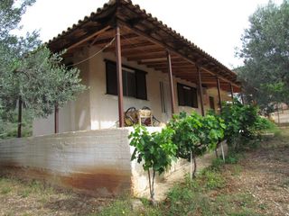 Αγροτεμάχια 16.400 τ.μ. για πώληση, Αργολίδα, Λέρνα-thumb-13
