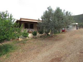 Αγροτεμάχια 16.400 τ.μ. για πώληση, Αργολίδα, Λέρνα-thumb-18