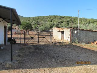 Αγροτεμάχια 16.400 τ.μ. για πώληση, Αργολίδα, Λέρνα-thumb-7