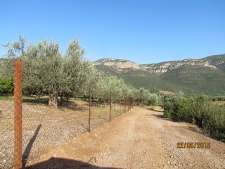 Αγροτεμάχια 16.400 τ.μ. για πώληση, Αργολίδα, Λέρνα-thumb-24