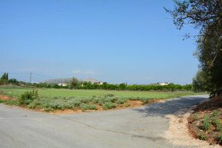 Αγροτεμάχια 4.600 τ.μ. για πώληση, Αργολίδα, Νέα Τίρυνθα-thumb-24