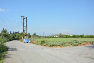 Αγροτεμάχια 4.600 τ.μ. για πώληση, Αργολίδα, Νέα Τίρυνθα-thumb-9