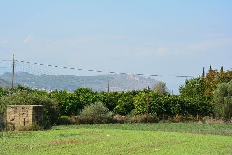 Αγροτεμάχια 4.600 τ.μ. προς πώληση, Νέα Τίρυνθα