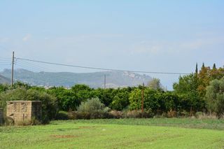 Αγροτεμάχια 4.600 τ.μ. για πώληση, Αργολίδα, Νέα Τίρυνθα-thumb-1