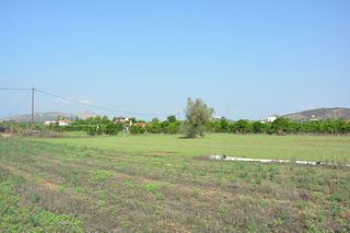 Αγροτεμάχια 4.600 τ.μ. για πώληση, Αργολίδα, Νέα Τίρυνθα-thumb-13