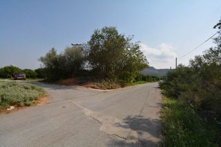Αγροτεμάχια 4.600 τ.μ. για πώληση, Αργολίδα, Νέα Τίρυνθα-thumb-16