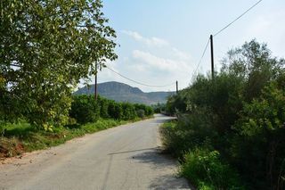 Αγροτεμάχια 4.600 τ.μ. για πώληση, Αργολίδα, Νέα Τίρυνθα-thumb-7