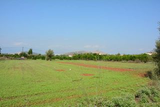 Αγροτεμάχια 4.600 τ.μ. για πώληση, Αργολίδα, Νέα Τίρυνθα-thumb-5