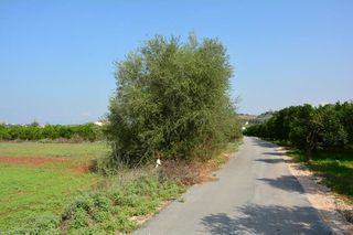 Αγροτεμάχια 4.600 τ.μ. για πώληση, Αργολίδα, Νέα Τίρυνθα-thumb-6