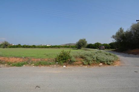 Αγροτεμάχια 4.600τ.μ. για πώληση-Νέα τίρυνθα