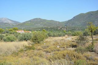 Οικόπεδο 420 τ.μ. για πώληση