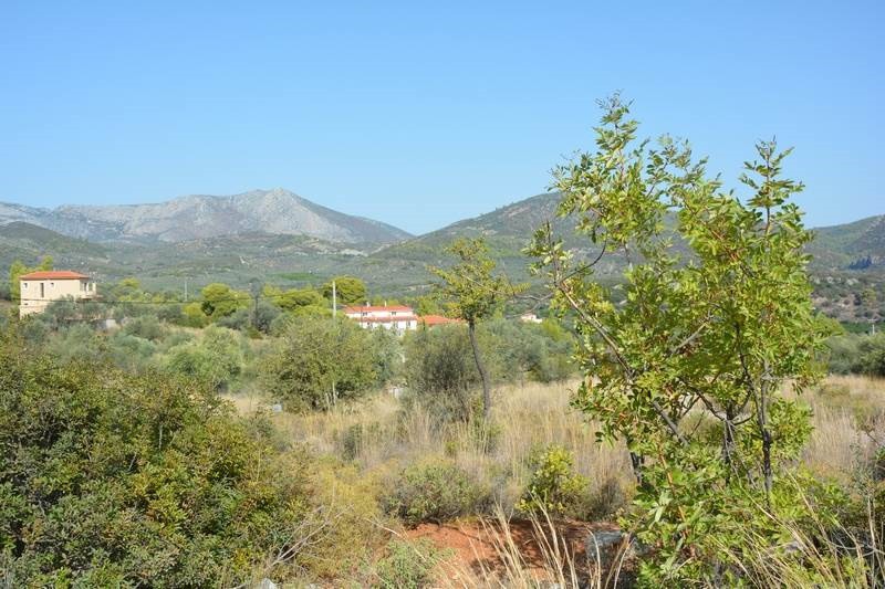 Οικόπεδο 420 τ.μ. προς πώληση, Επάνω Επίδαυρος