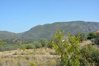 Οικόπεδο 420 τ.μ. για πώληση, Αργολίδα, Επίδαυρος-thumb-3