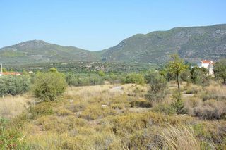 Οικόπεδο 420 τ.μ. για πώληση, Αργολίδα, Επίδαυρος-thumb-18