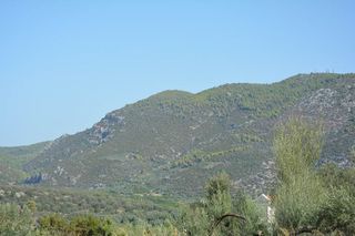 Οικόπεδο 420 τ.μ. για πώληση, Αργολίδα, Επίδαυρος-thumb-8