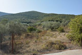 Οικόπεδο 420 τ.μ. για πώληση, Αργολίδα, Επίδαυρος-thumb-11