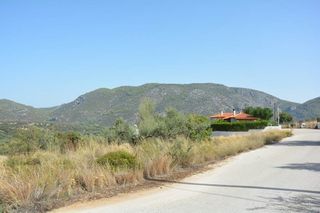 Οικόπεδο 420 τ.μ. για πώληση, Αργολίδα, Επίδαυρος-thumb-14