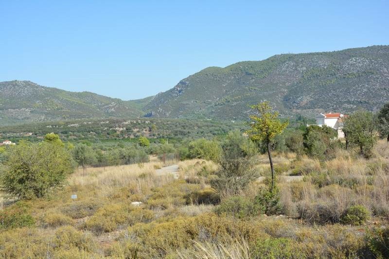 Οικόπεδο 420 τ.μ. προς πώληση, Επάνω Επίδαυρος