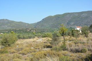 Οικόπεδο 420 τ.μ. για πώληση, Αργολίδα, Επίδαυρος-thumb-2