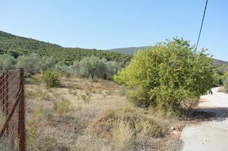 Οικόπεδο 420 τ.μ. για πώληση, Αργολίδα, Επίδαυρος-thumb-17