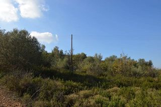 Αγροτεμάχια 15.000 τ.μ. για πώληση, Αργολίδα, Ναύπλιο-thumb-7
