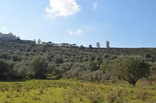 Αγροτεμάχια 15.000 τ.μ. για πώληση, Αργολίδα, Ναύπλιο-thumb-21