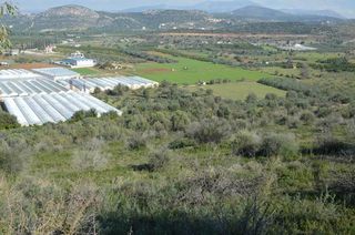 Αγροτεμάχια 15.000 τ.μ. για πώληση, Αργολίδα, Ναύπλιο-thumb-16