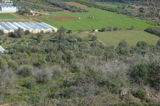 Αγροτεμάχια 15.000 τ.μ. για πώληση, Αργολίδα, Ναύπλιο-thumb-18
