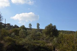Αγροτεμάχια 15.000 τ.μ. για πώληση, Αργολίδα, Ναύπλιο-thumb-6