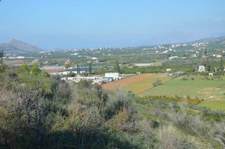 Αγροτεμάχια 15.000 τ.μ. για πώληση, Αργολίδα, Ναύπλιο-thumb-11