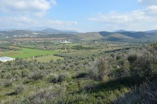Αγροτεμάχια 15.000 τ.μ. για πώληση, Αργολίδα, Ναύπλιο-thumb-3