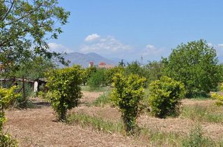 Αγροτεμάχια 10.347,19 τ.μ. για πώληση, Αργολίδα, Άργος-thumb-12