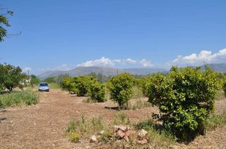 Αγροτεμάχια 10.347,19 τ.μ. για πώληση, Αργολίδα, Άργος-thumb-6